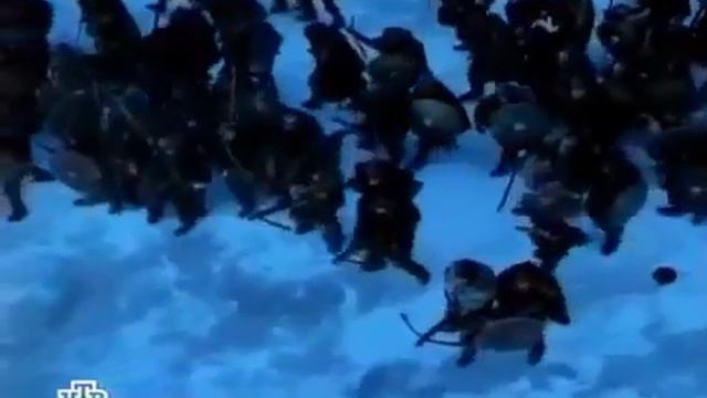 Экзотическое бесшумное оружие Арбалет смотреть онлайн