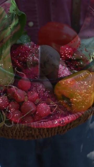 Imperdible! Superalimento que no te debe faltar! #superalimento #doctor #vida saludable смотреть онлайн