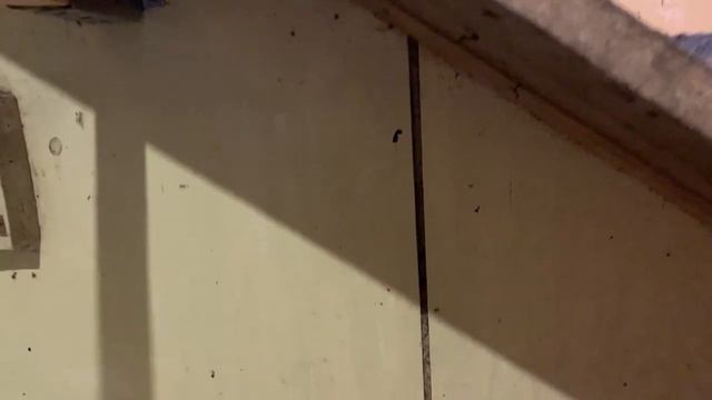 Вечернее кормление кур_ перестановка в курятнике_ готовлюсь к выводу цыплят_ сколько🥚🥚🥚18 марта 2 смотреть онлайн