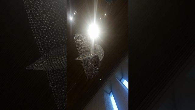 Infections of a different kind смотреть онлайн