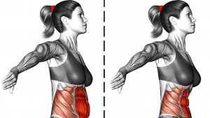 Узкая талия и плоский живот