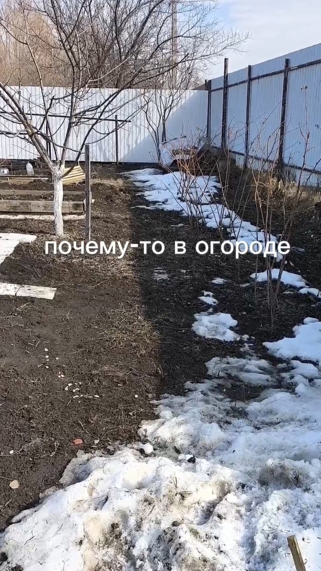 Почему-то в огороде... смотреть онлайн