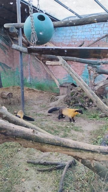 5b82d1a3-89c0-4696-9dcd-d0b9b5b01bf1-1_all_21841.mp4