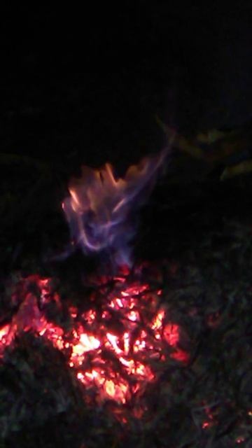 3 ноября 2021 г. смотреть онлайн