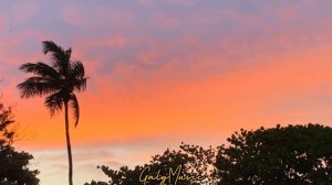 Frank Sinatra - Fly Me To The Moon (lyrics)