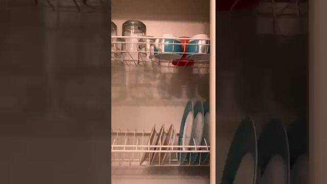 WhatsApp Video 2025-03-24 at 16.39.55 смотреть онлайн