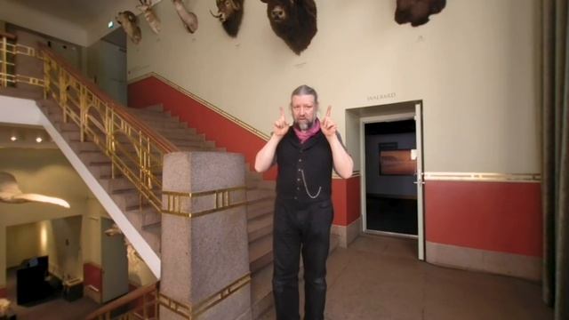 VR180 - Virtual tour - Muskox vs Moose - Museum of natural history смотреть онлайн