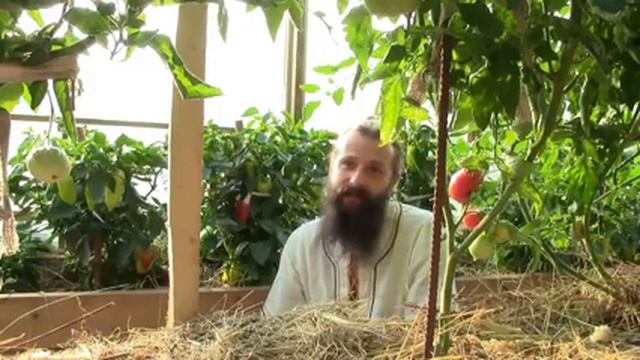 (!) Как и почему выращивать овощи без навоза смотреть онлайн