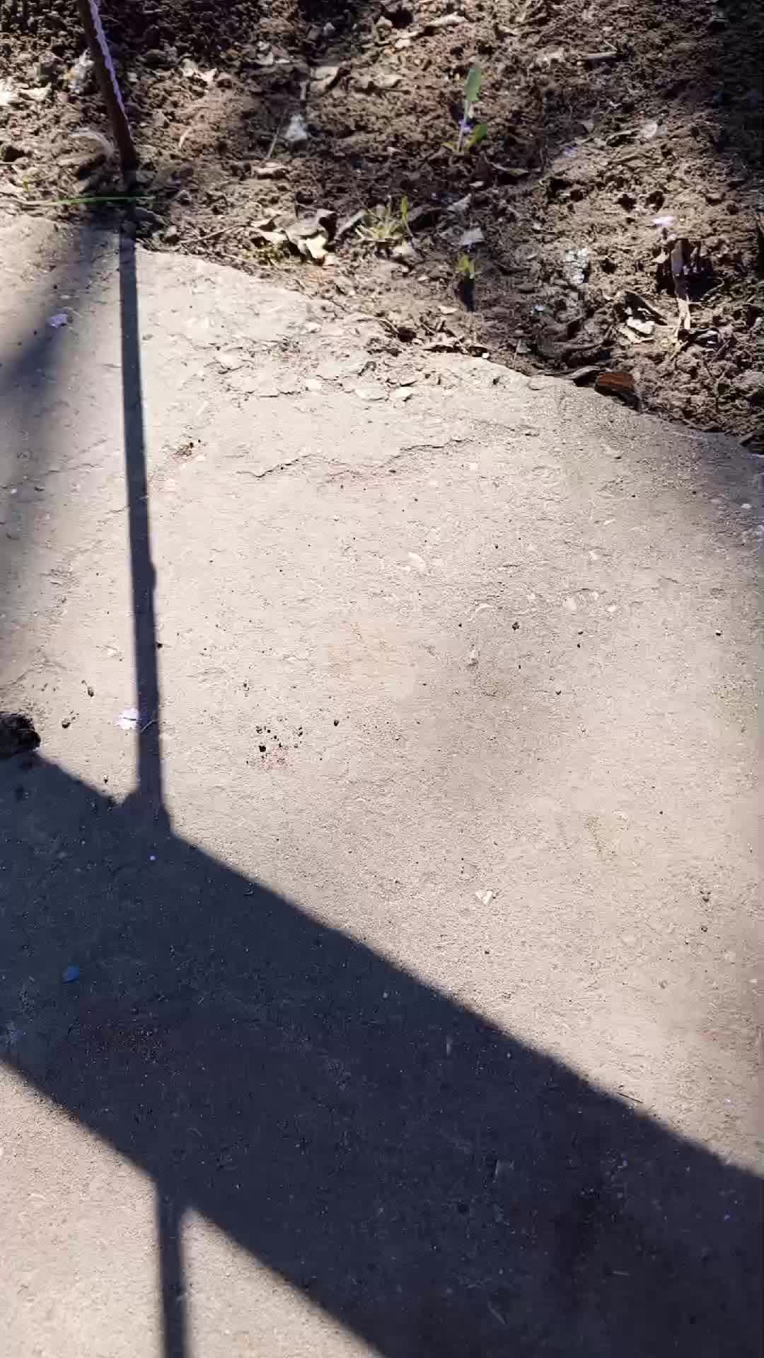?????? смотреть онлайн