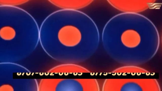 ЭЛЬДАР ОМАРОВ. LIVE КОНЦЕРТ смотреть онлайн