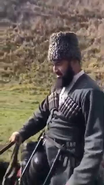 Кабардинская порода(7)