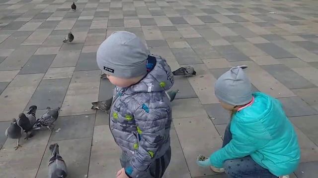 Лиза и Саша кормят голубей смотреть онлайн