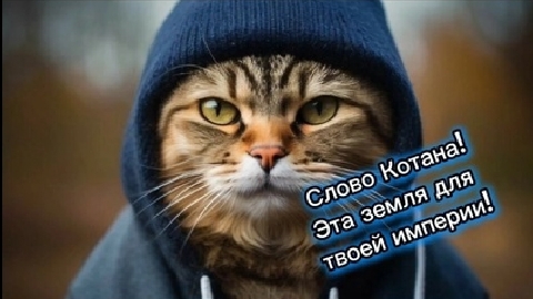 Слово Котана - тебе будет смешно!