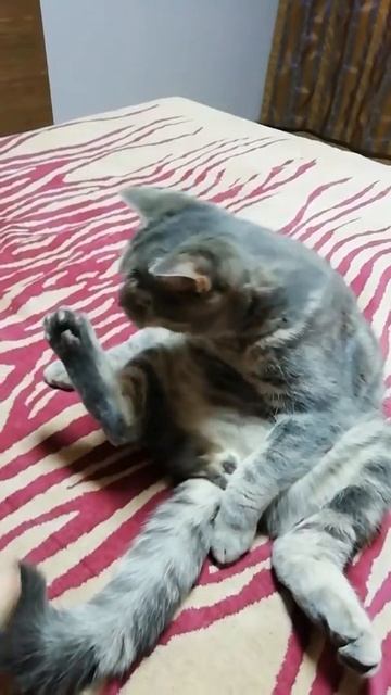 Щекотно смотреть онлайн