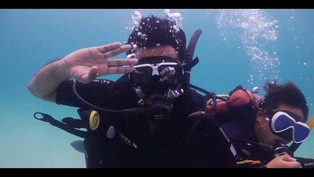 Dive into happiness: Scuba diving in Koh Tao, Thailand (Mango Bay and Junkyard) смотреть онлайн