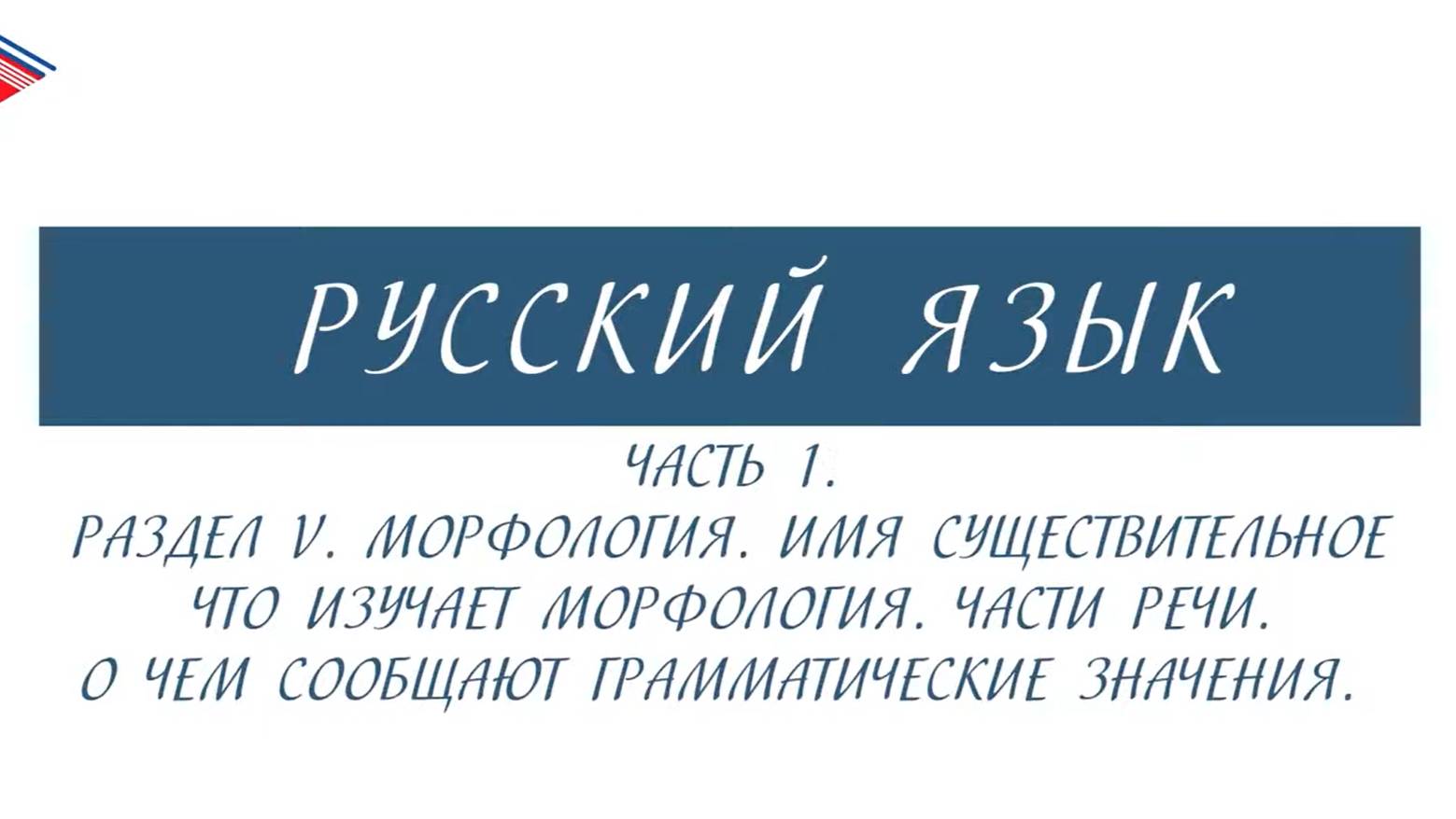 6 класс - Русский язык - Морфология. Части речи. О чём сообщают грамматические значения (Часть 1) смотреть онлайн
