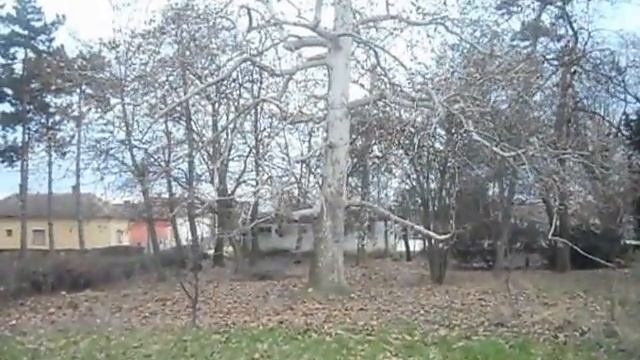 Стопања парк Милана Дуњића, солунац смотреть онлайн