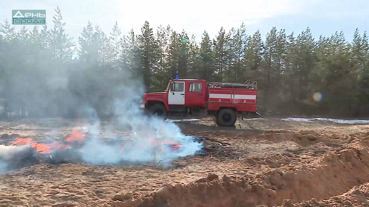 Учения по ликвидации лесного пожара смотреть онлайн