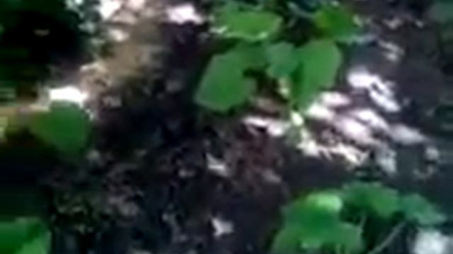 Нужен ваш совет. смотреть онлайн