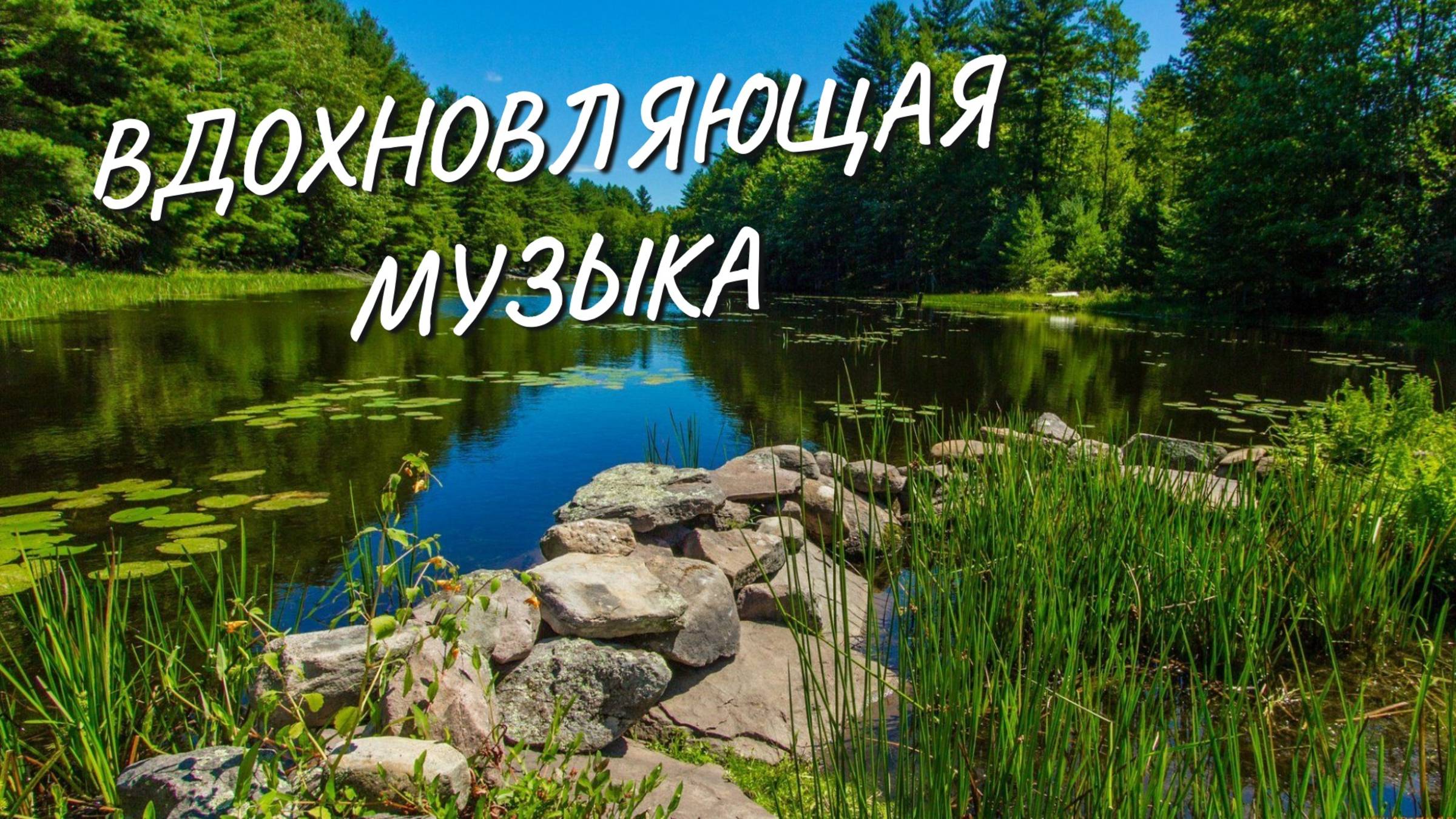 Вдохновляющая мотивация. Позитивная музыка. Мотивационная музыка. Пейзажи природы. Лес. Релакс.