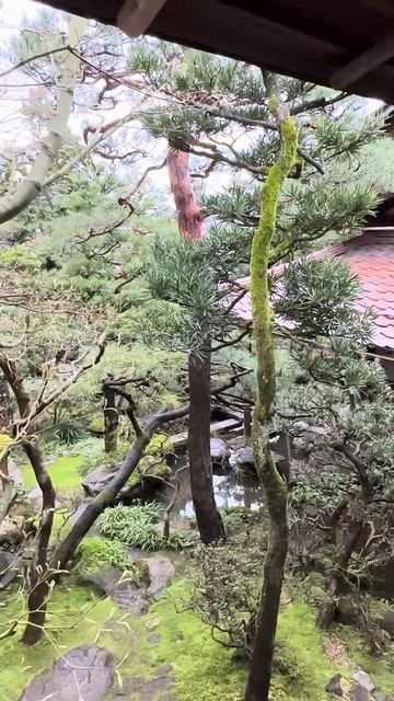 Nomura Family Samurai House, Kanazawa, Japan смотреть онлайн