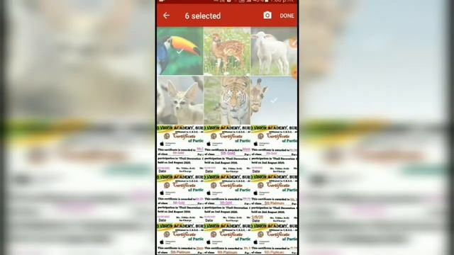 How to convert image into pdf || img को pdf में कैसे कन्वर्ट करे ? || @samradhpatel смотреть онлайн