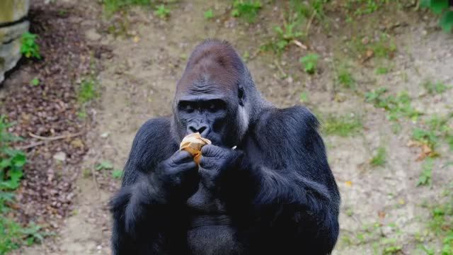 Случай после выходного смотреть онлайн