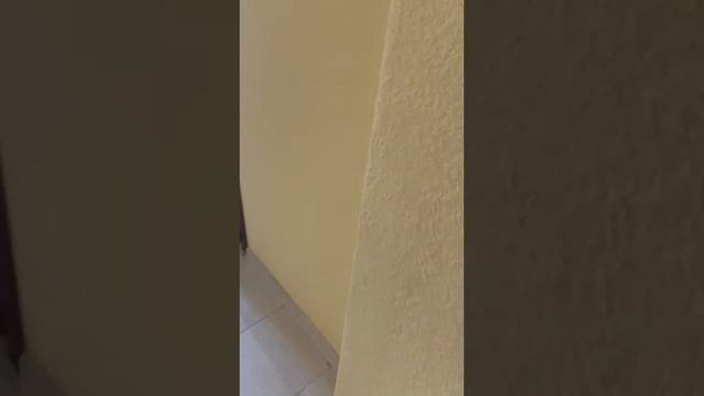 Видео для Авито смотреть онлайн