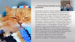 Вебинар: «Вебинар по продукции Imperium Valeo – MatrixRelictum»
