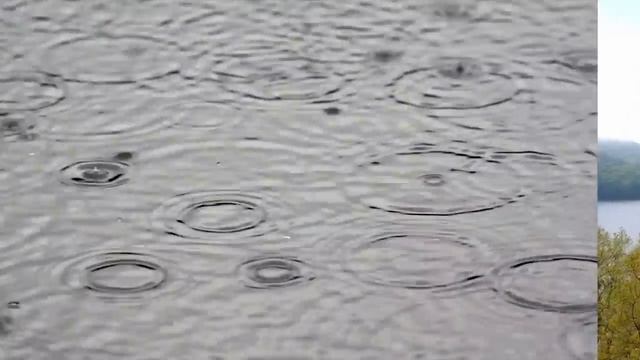 Water Bodies For Kids. What Are The Different Bodies Of Water?
