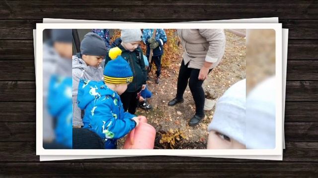 Садам цвести