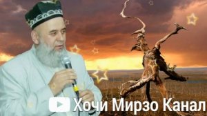Хочи Мирзо - Қош чиндан чоиз аст?
