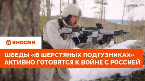 Шведы «в шерстяных подгузниках» активно готовятся к войне с Россией