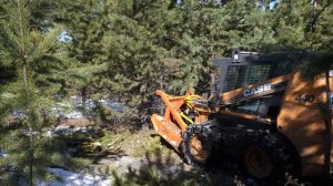 Дисковый мульчер на мини погрузчике CASE