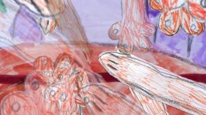 Все любят цирк_детский сад Солнечный ЛУЧ_студия Пчелиный рой_Екатеринбург 2024