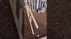 Кролики. Клетка Золотухина. Часть 1. Каркас