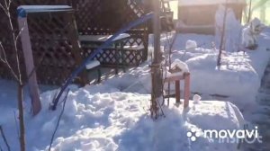 Уборку снега в саду