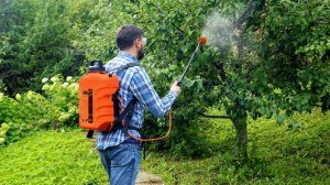 Опрыскиватель садовый,купил на озон.