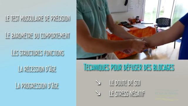 Formation Kinésiologie - Three in One Concepts - Concepts 3 en 1 - ECAP de Nantes смотреть онлайн