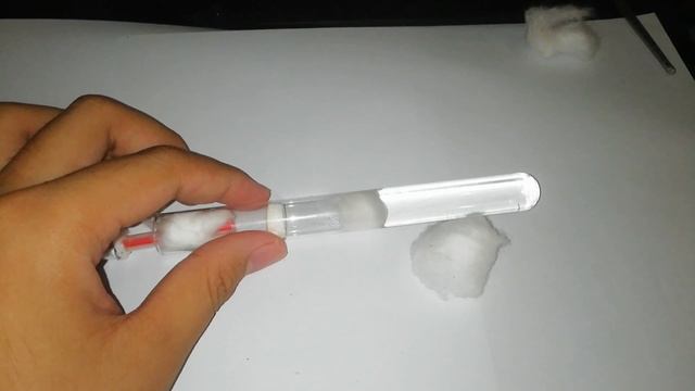 HOW TO TRANSFER COLONY FROM OLD TEST TUBE TO A NEW ONE | Ant Philippines смотреть онлайн