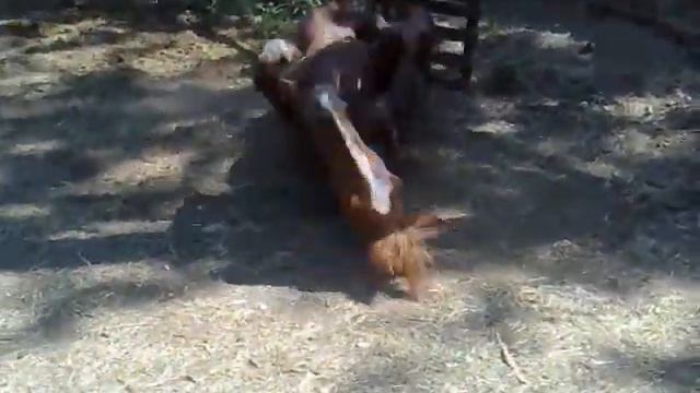 никак неполучается валятся.mp4 смотреть онлайн