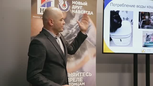 Чем кормить кошку - лекция смотреть онлайн