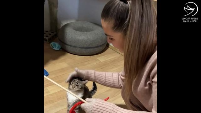 Волонтерский отряд ГБОУ Школа № 626