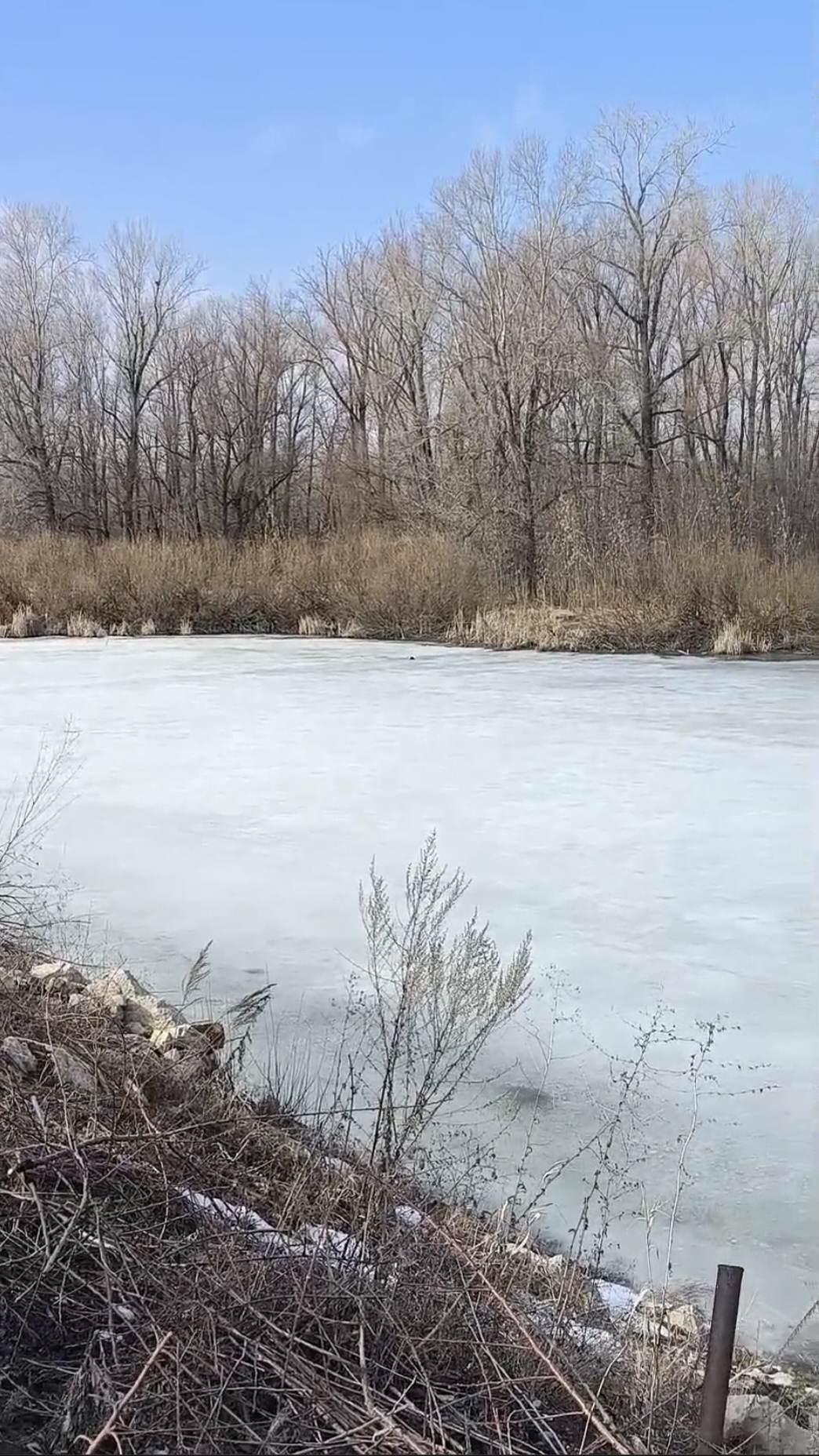 Близится конец уж марта... смотреть онлайн
