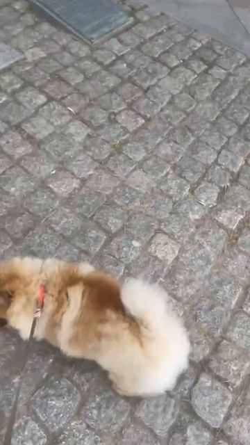 Ялта 💖💖💖 смотреть онлайн