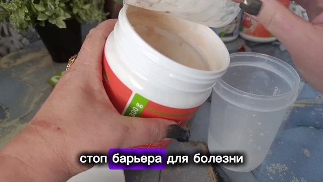 ТОП 3 ПРОДУКТА ДЛЯ КОМФОРТНОГО ПОХУДЕНИЯ|| ХУДЕЕМ ВКУСНО И ПОЛЕЗНО смотреть онлайн