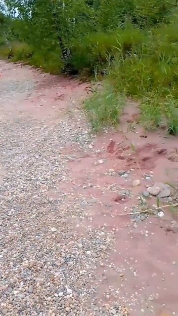 #Гранатовый пляж на Байкале #байкальск смотреть онлайн