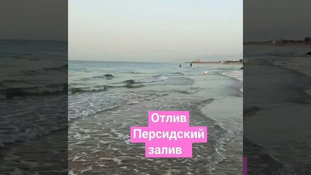 Персидский залив / Отлив и прилив / Отлив чувств / Отлив любви #trevel #оаэ #путешествия #отдых2024