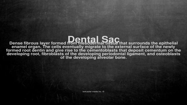 Medical vocabulary: What does Dental Sac mean смотреть онлайн