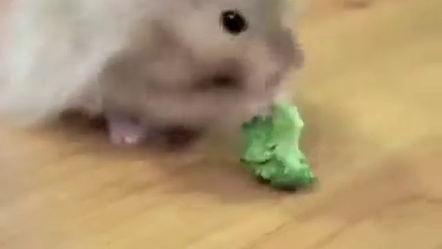 Nom Nom Nom Nom Nom Nom Nom Parry Gripp смотреть онлайн